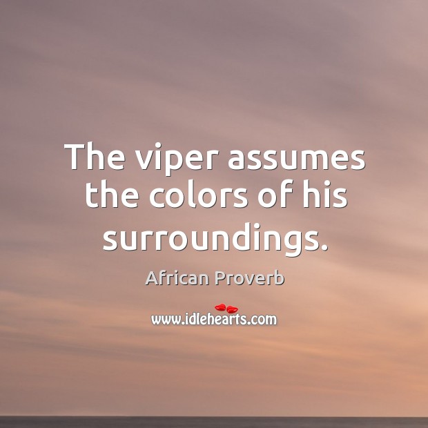 The viper assumes the colors of his surroundings. Image
