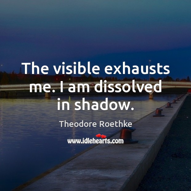 The visible exhausts me. I am dissolved in shadow. Theodore Roethke Picture Quote