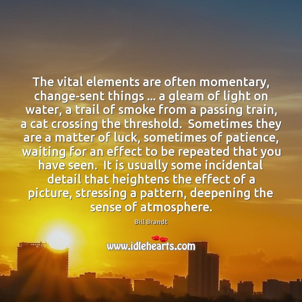 The vital elements are often momentary, change-sent things … a gleam of light Bill Brandt Picture Quote
