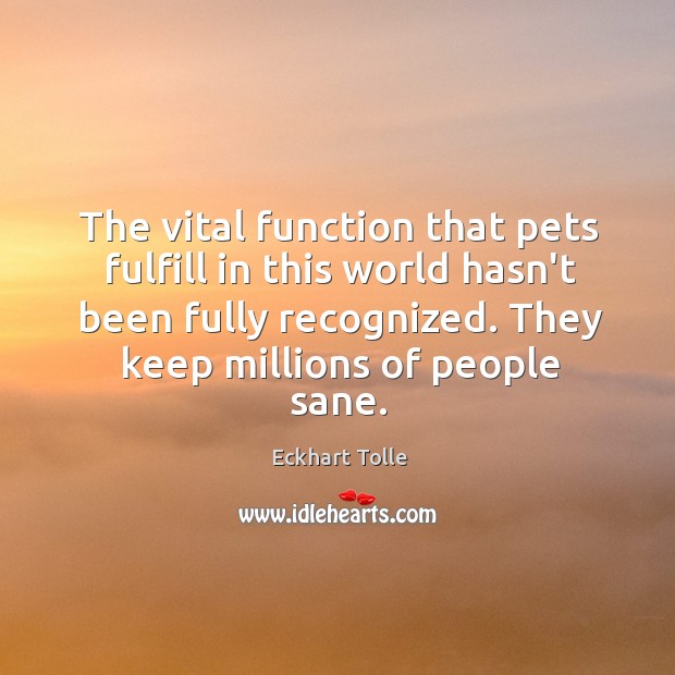 The vital function that pets fulfill in this world hasn’t been fully Image