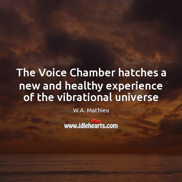 The Voice Chamber hatches a new and healthy experience of the vibrational universe Image