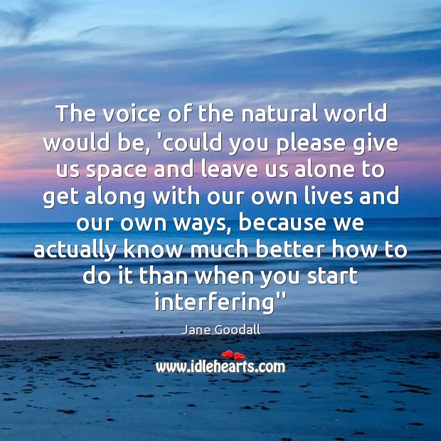 The voice of the natural world would be, ‘could you please give Jane Goodall Picture Quote
