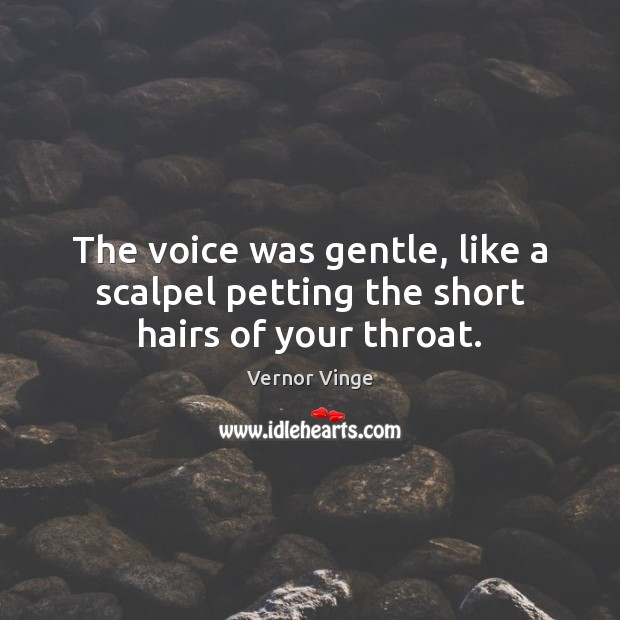 The voice was gentle, like a scalpel petting the short hairs of your throat. Vernor Vinge Picture Quote