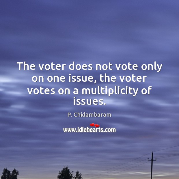 The voter does not vote only on one issue, the voter votes on a multiplicity of issues. P. Chidambaram Picture Quote