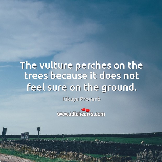 The vulture perches on the trees because it does not feel sure on the ground. Kikuyu Proverbs Image