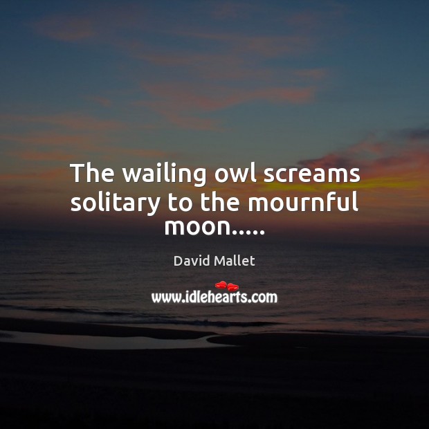 The wailing owl screams solitary to the mournful moon….. Image