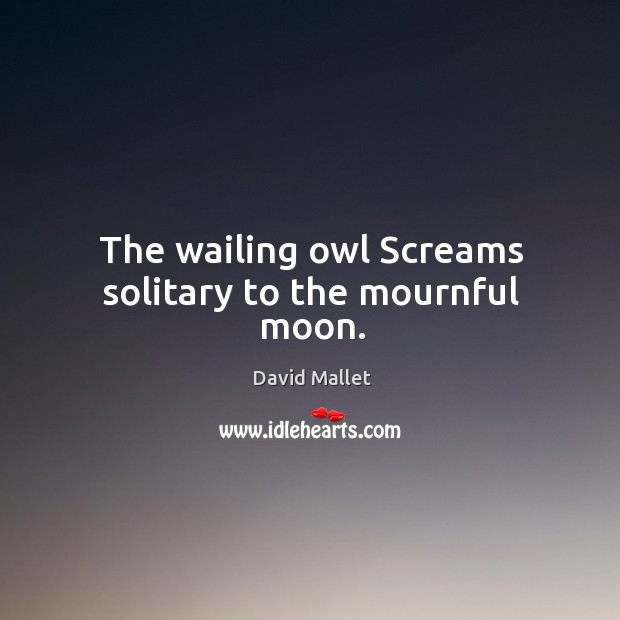 The wailing owl screams solitary to the mournful moon. Image