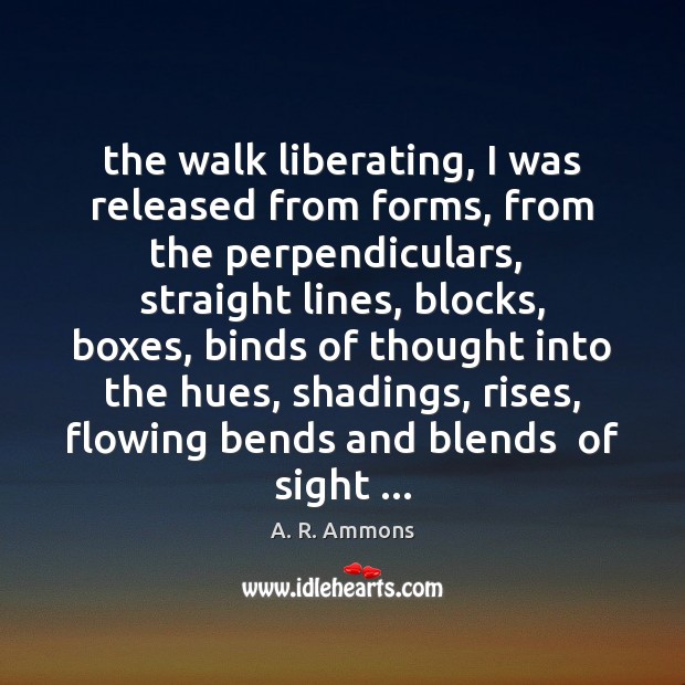 The walk liberating, I was released from forms, from the perpendiculars,  straight A. R. Ammons Picture Quote