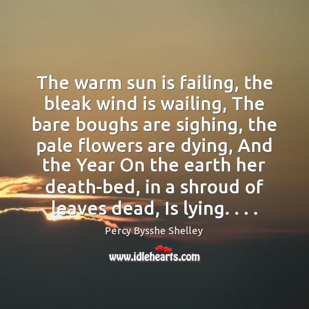 The warm sun is failing, the bleak wind is wailing, The bare Percy Bysshe Shelley Picture Quote