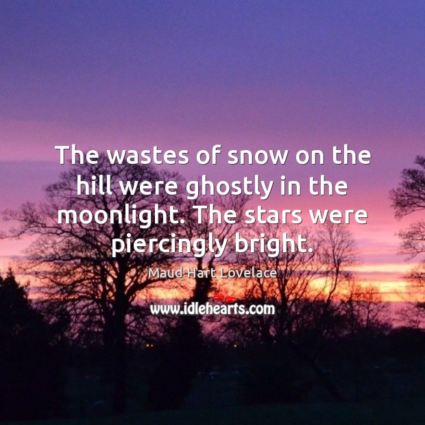 The wastes of snow on the hill were ghostly in the moonlight. Maud Hart Lovelace Picture Quote