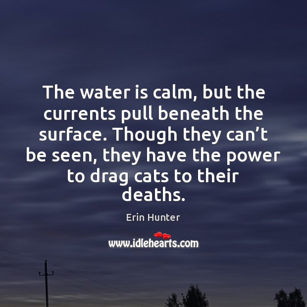 The water is calm, but the currents pull beneath the surface. Though Erin Hunter Picture Quote