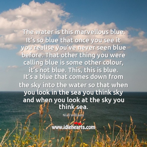 The water is this marvellous blue. It’s so blue that once Niall Williams Picture Quote