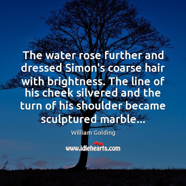 The water rose further and dressed Simon’s coarse hair with brightness. The 