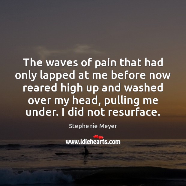 The waves of pain that had only lapped at me before now Stephenie Meyer Picture Quote