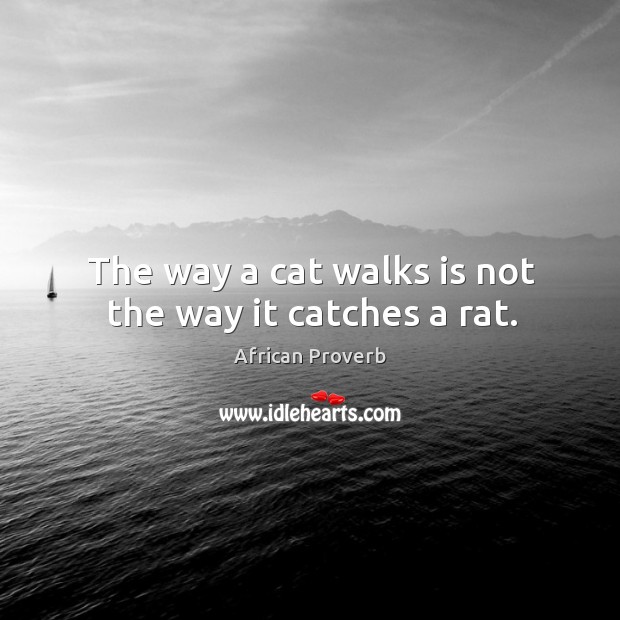 The way a cat walks is not the way it catches a rat. Image