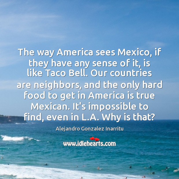 The way America sees Mexico, if they have any sense of it, Alejandro Gonzalez Inarritu Picture Quote