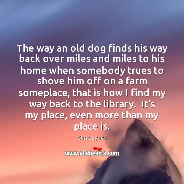 The way an old dog finds his way back over miles and Chris Lynch Picture Quote