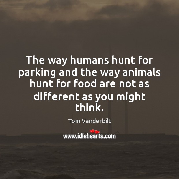 The way humans hunt for parking and the way animals hunt for Tom Vanderbilt Picture Quote