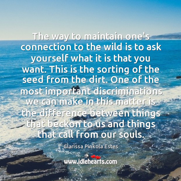 The way to maintain one’s connection to the wild is to ask Clarissa Pinkola Estes Picture Quote