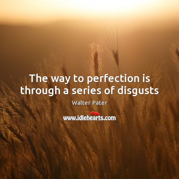 The way to perfection is through a series of disgusts Perfection Quotes Image