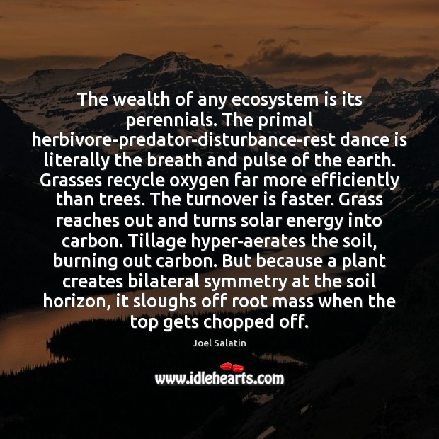 The wealth of any ecosystem is its perennials. The primal herbivore-predator-disturbance-rest dance Joel Salatin Picture Quote