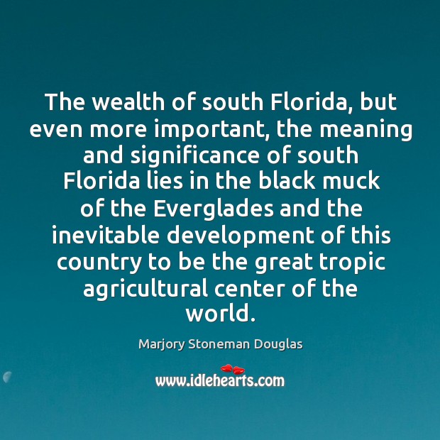 The wealth of south florida, but even more important, the meaning and significance Marjory Stoneman Douglas Picture Quote