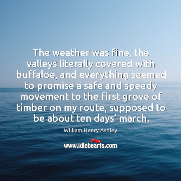 The weather was fine, the valleys literally covered with buffaloe, and everything seemed William Henry Ashley Picture Quote
