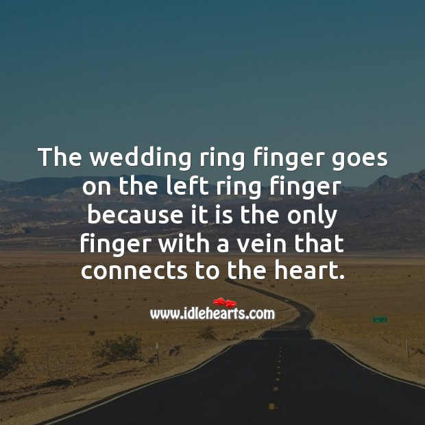 The wedding ring finger goes on the left ring finger because Marriage Quotes Image