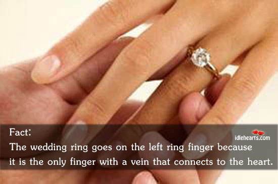 Fact: the wedding ring goes on the left Image