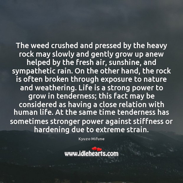 The weed crushed and pressed by the heavy rock may slowly and Life Quotes Image