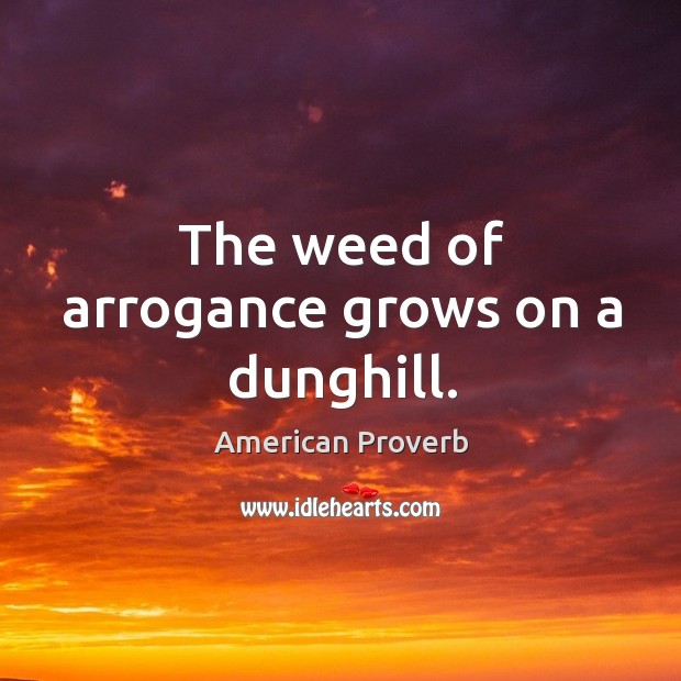 The weed of arrogance grows on a dunghill. American Proverbs Image