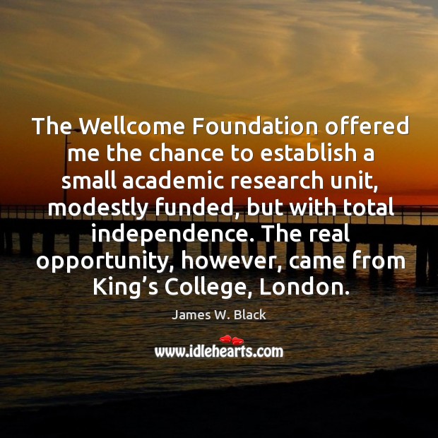 The wellcome foundation offered me the chance to establish a small academic research unit James W. Black Picture Quote