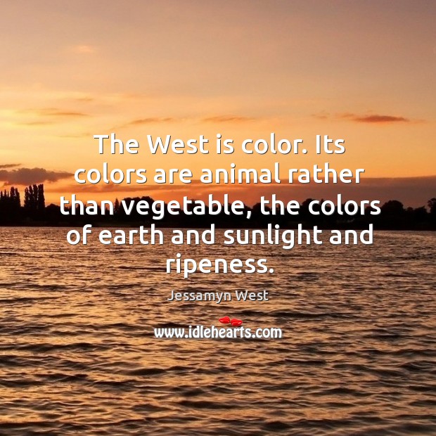 The west is color. Its colors are animal rather than vegetable, the colors of earth and sunlight and ripeness. Image