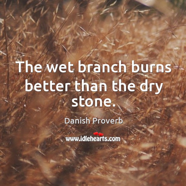 The wet branch burns better than the dry stone. Danish Proverbs Image