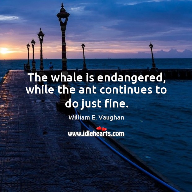 The whale is endangered, while the ant continues to do just fine. William E. Vaughan Picture Quote