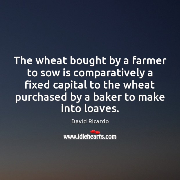 The wheat bought by a farmer to sow is comparatively a fixed David Ricardo Picture Quote