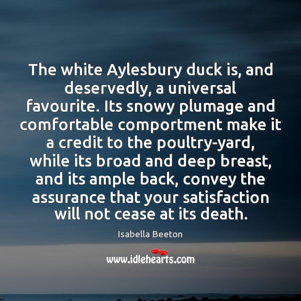 The white Aylesbury duck is, and deservedly, a universal favourite. Its snowy Image