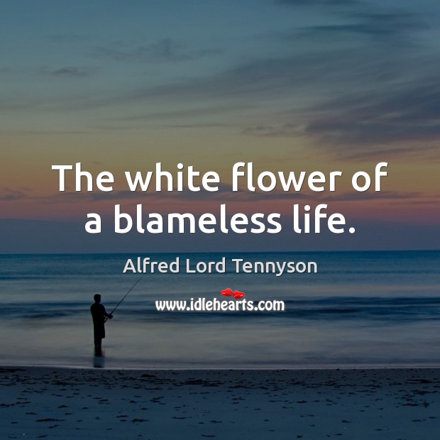 The white flower of a blameless life. Alfred Lord Tennyson Picture Quote
