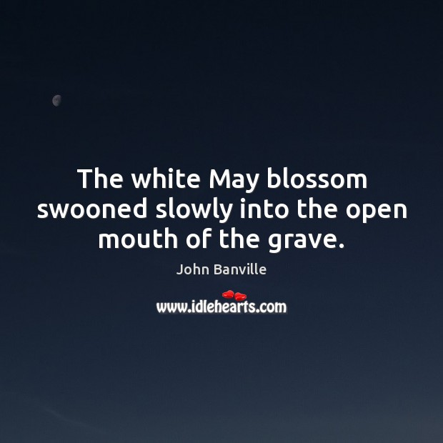 The white May blossom swooned slowly into the open mouth of the grave. John Banville Picture Quote