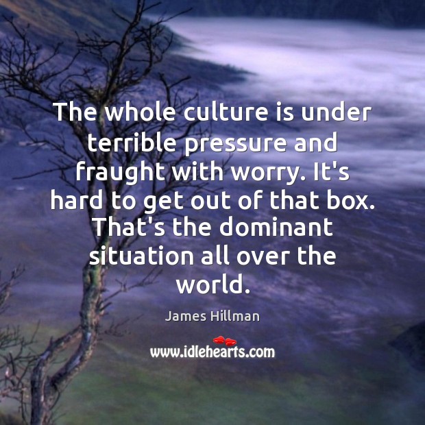 The whole culture is under terrible pressure and fraught with worry. It’s James Hillman Picture Quote