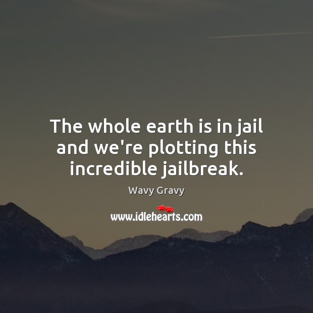 The whole earth is in jail and we’re plotting this incredible jailbreak. Wavy Gravy Picture Quote