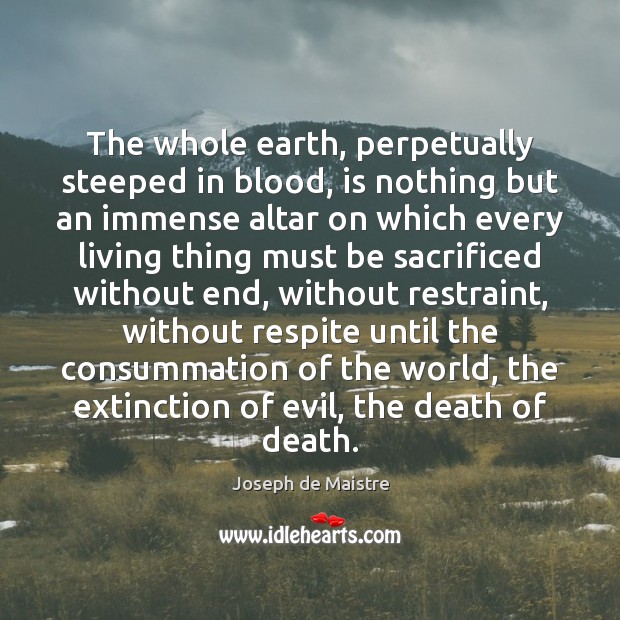 The whole earth, perpetually steeped in blood, is nothing but an immense Image