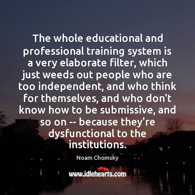 The whole educational and professional training system is a very elaborate filter, Noam Chomsky Picture Quote