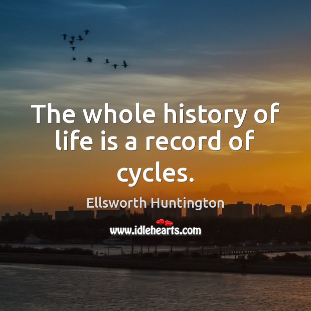 The whole history of life is a record of cycles. Image