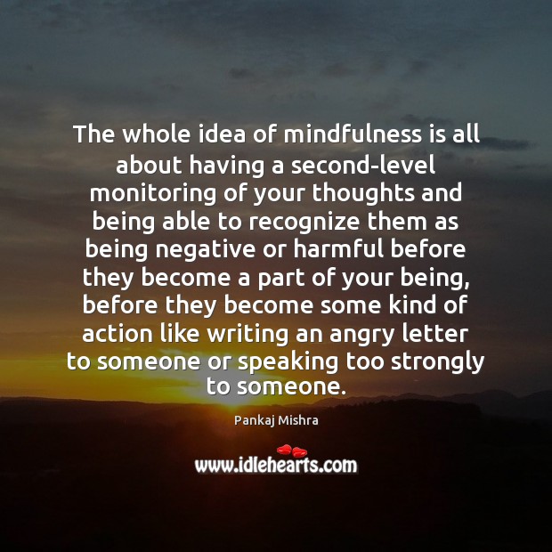 The whole idea of mindfulness is all about having a second-level monitoring Pankaj Mishra Picture Quote