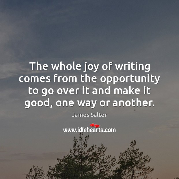 The whole joy of writing comes from the opportunity to go over James Salter Picture Quote