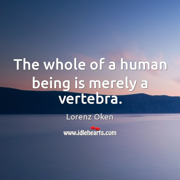 The whole of a human being is merely a vertebra. Lorenz Oken Picture Quote