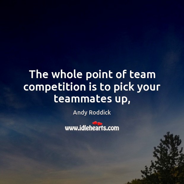 The whole point of team competition is to pick your teammates up, Andy Roddick Picture Quote