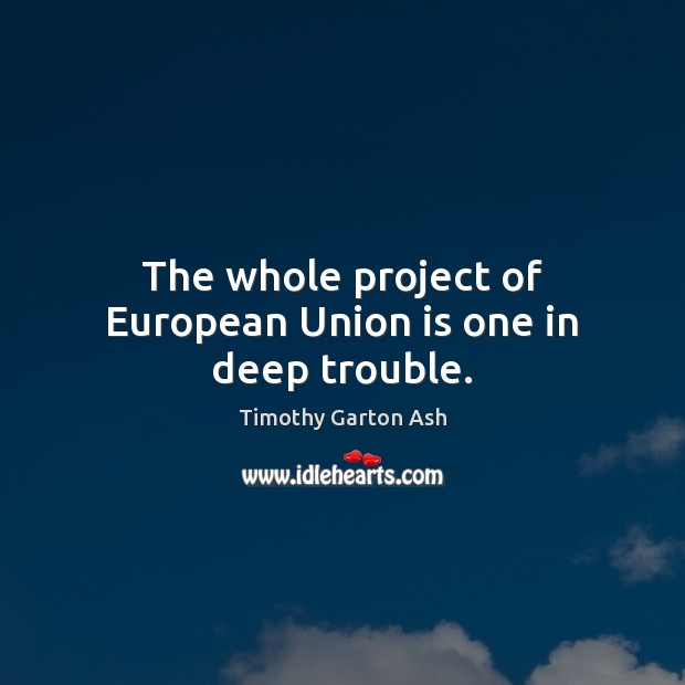 The whole project of European Union is one in deep trouble. Timothy Garton Ash Picture Quote
