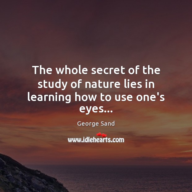 The whole secret of the study of nature lies in learning how to use one’s eyes… George Sand Picture Quote